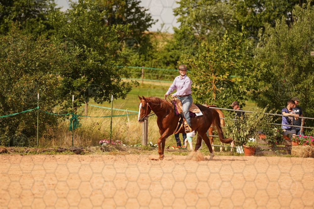 s_A9_04326.jpg